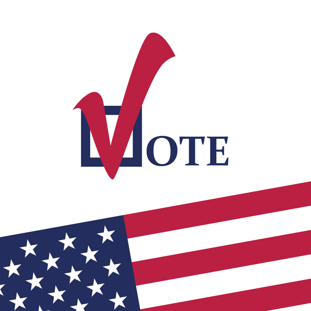 Did You Vote?
