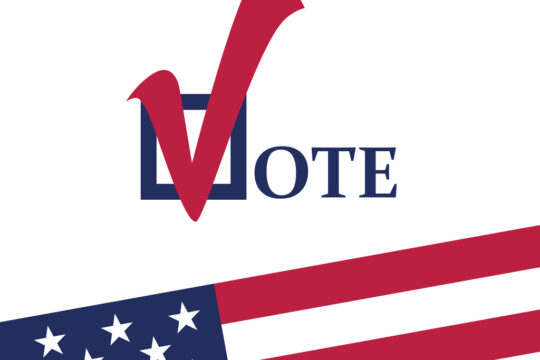 Did You Vote?