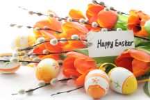 Easter Greetings from the AMAC Foundation!