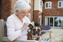 Pet Alert: The Perils of Second-Hand Smoke