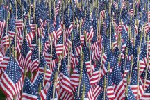 Happy Independence Day!